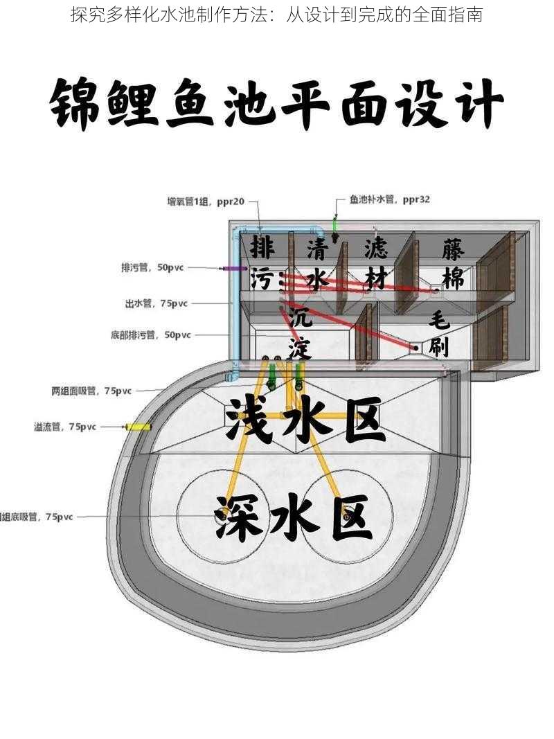 探究多样化水池制作方法：从设计到完成的全面指南