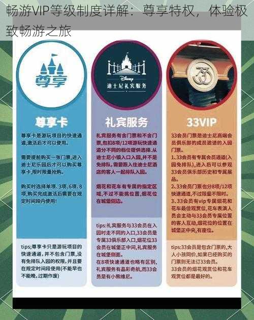 畅游VIP等级制度详解：尊享特权，体验极致畅游之旅