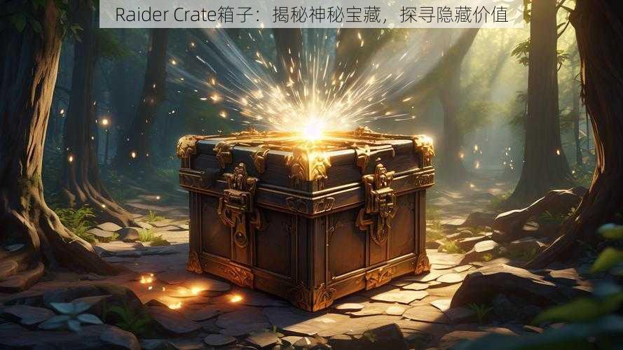 Raider Crate箱子：揭秘神秘宝藏，探寻隐藏价值