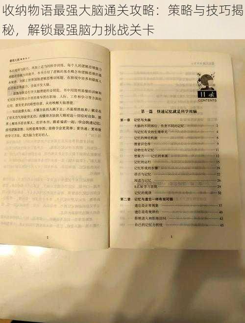 收纳物语最强大脑通关攻略：策略与技巧揭秘，解锁最强脑力挑战关卡