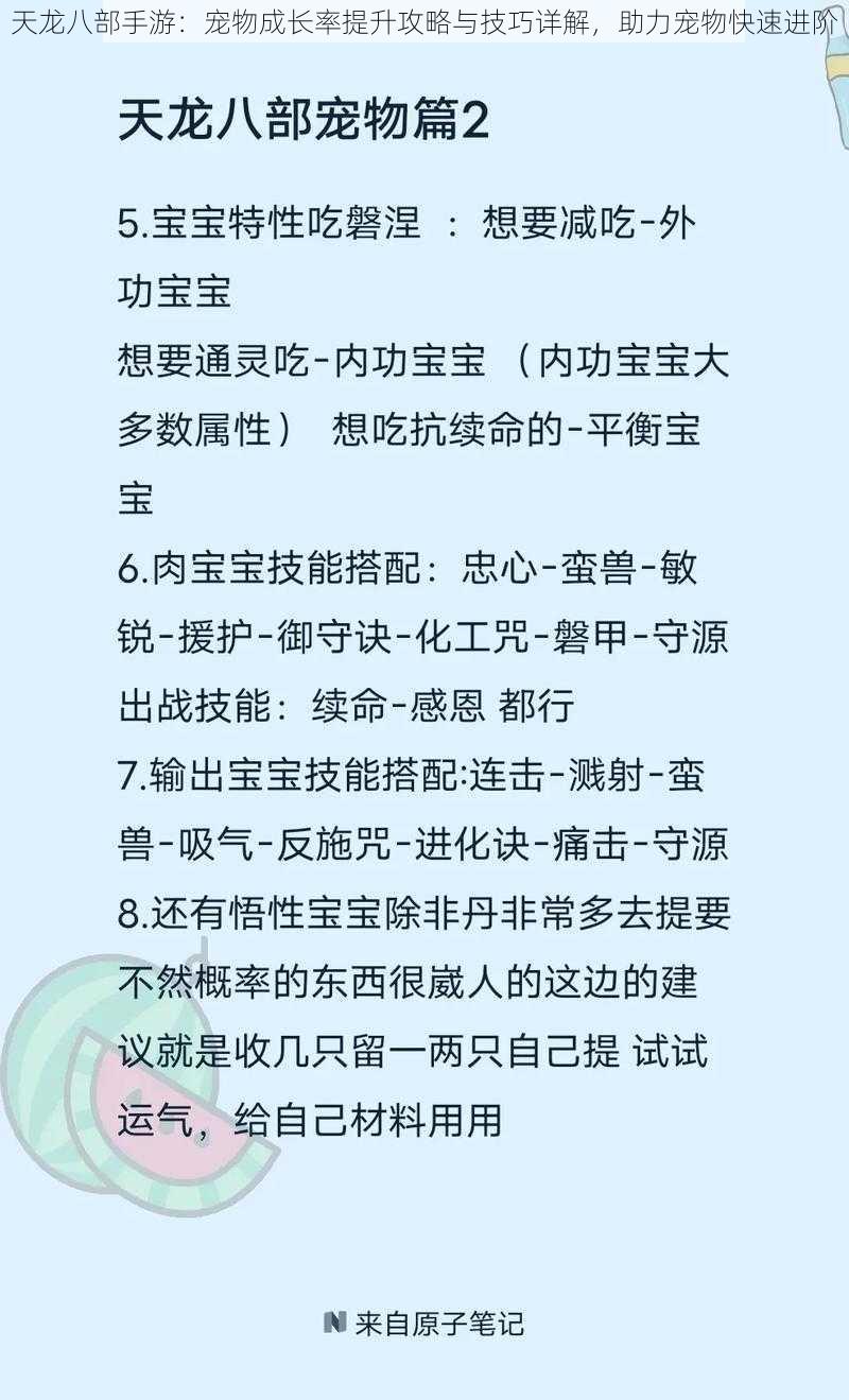 天龙八部手游：宠物成长率提升攻略与技巧详解，助力宠物快速进阶